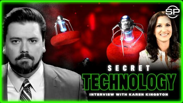 Karen Kingston Breaks Silence - Government Using Hidden Tech To Terrorize People