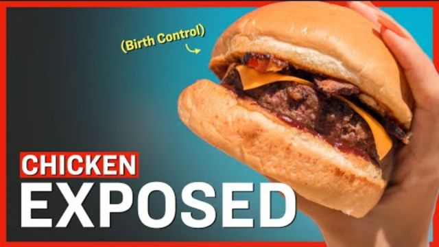Contraceptive Drug Found in Fast Food