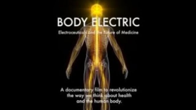 Body Electric - Electroceuticals and the Future of Medicine